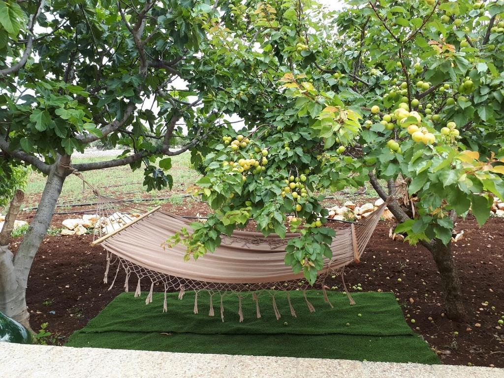 Villa Rosalba โปลีญาโนอามาเร ภายนอก รูปภาพ